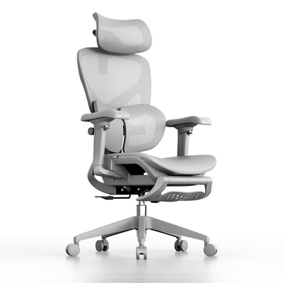 OTO Zenpex Ergonomic Chair