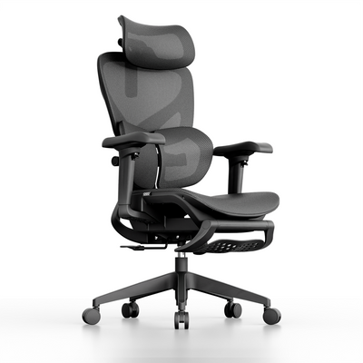 OTO Zenpex Ergonomic Chair