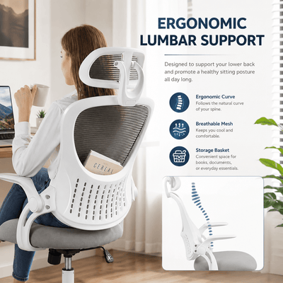 EC1 ERGONOMIC CHAIR - Orka Official