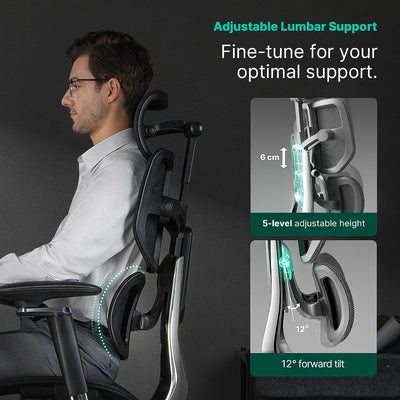 Hinomi X2 Pro Ergonomic Office Chair - Successor to X1