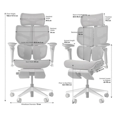 Hinomi X2 Pro Ergonomic Office Chair - Successor to X1