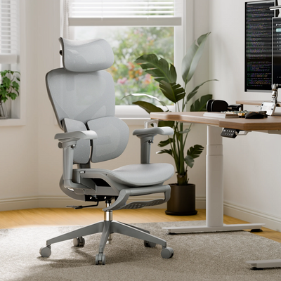 OTO Zenpex Ergonomic Chair